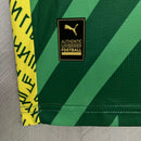 Camisa de Goleiro Manchester City | 23/24 Torcedor Puma - Verde