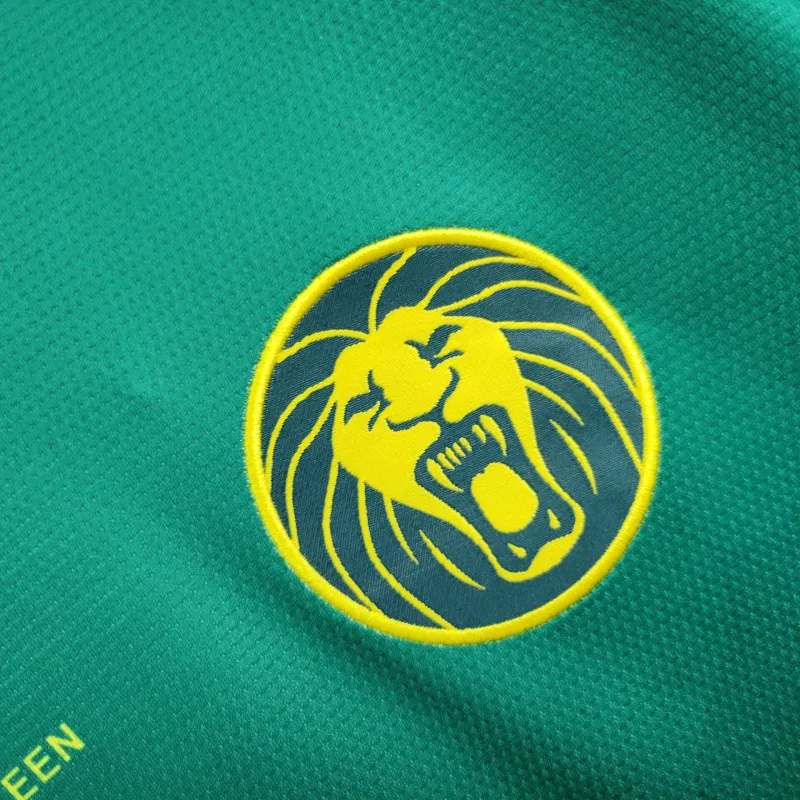 Camisa I Camarões | 25/26 14Fourteen - Verde
