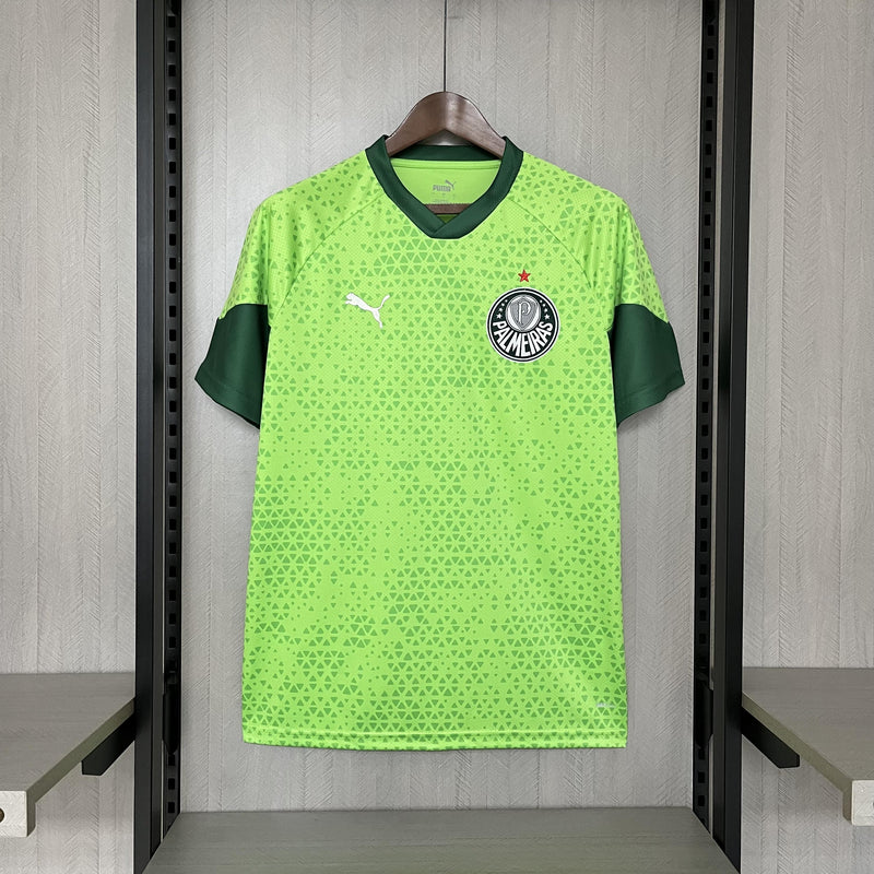 Camisa de Treino Palmeiras | 24/25 Torcedor Puma - Verde