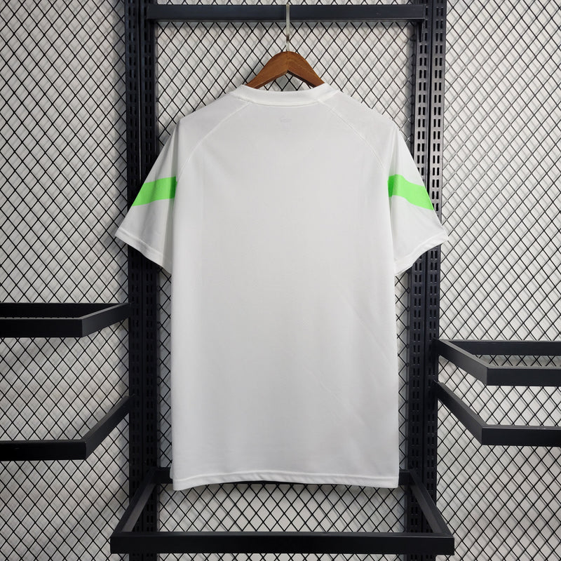 Camisa de Treino Palmeiras | 23/24 Torcedor Puma - Branca