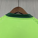 Camisa de Treino Palmeiras | 24/25 Torcedor Puma - Verde