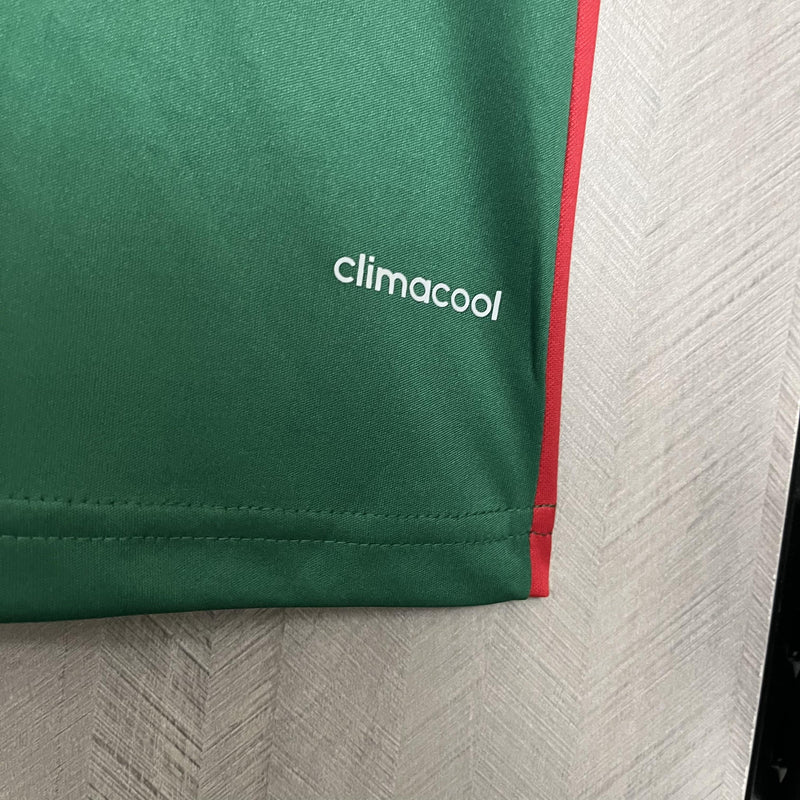 Camisa III Palmeiras Retrô | 2014 Torcedor Adidas - Verde