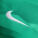 Camisa de Goleiro PSG | 23/24 Torcedor Nike - Verde - Manga Longa