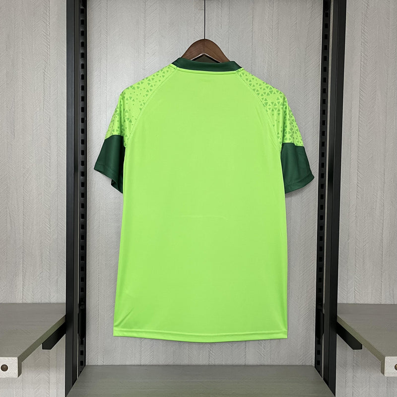 Camisa de Treino Palmeiras | 24/25 Torcedor Puma - Verde