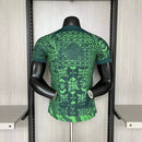Camisa I Nigéria | 22/23 Modelo Jogador Nike - Verde