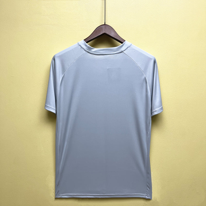 Camisa de Treino Palmeiras | 23/24 Torcedor Puma - Cinza