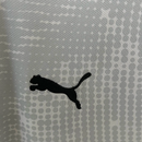 Camisa Goleiro Portugal | 2025 Torcedor Puma - Cinza