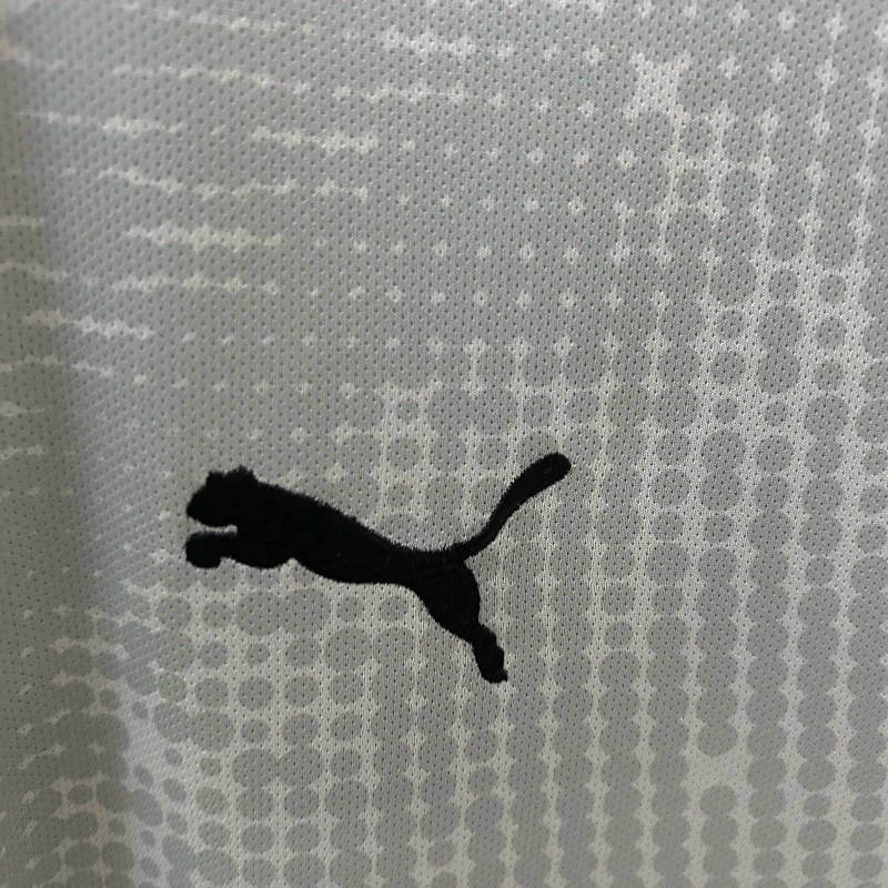 Camisa Goleiro Portugal | 2025 Torcedor - Cinza
