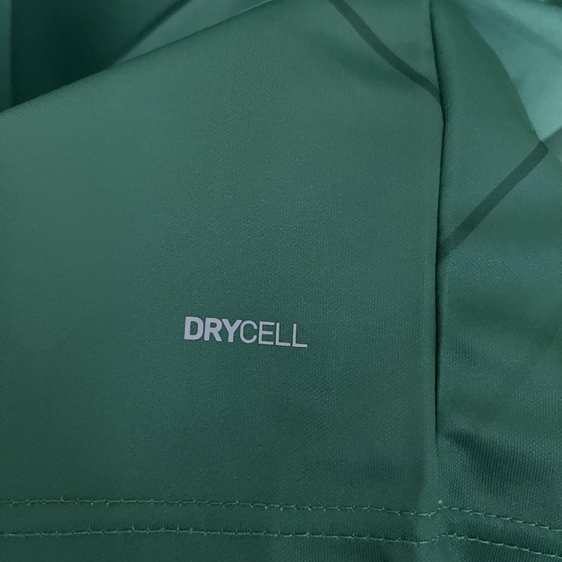Camisa Edição Especial Palmeiras | 23/24 Torcedor Puma - Verde