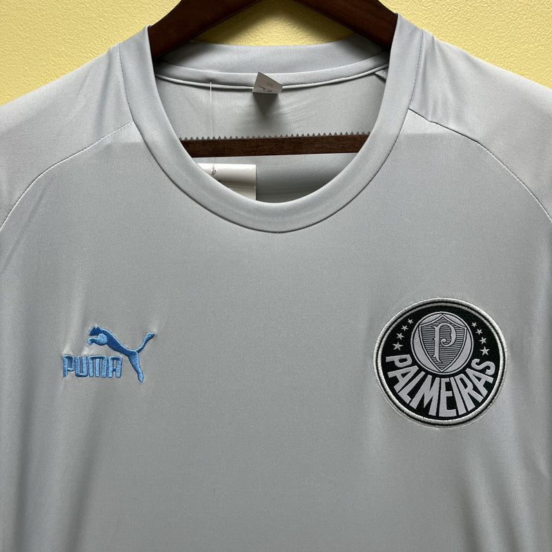 Camisa de Treino Palmeiras | 23/24 Torcedor Puma - Cinza