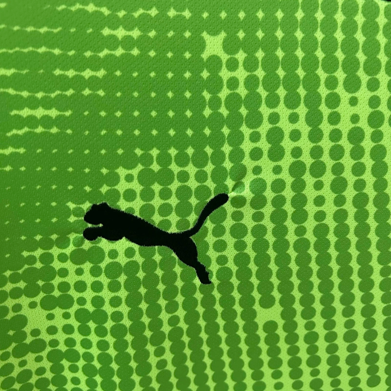 Camisa Goleiro Portugal | 2025 Torcedor - Verde