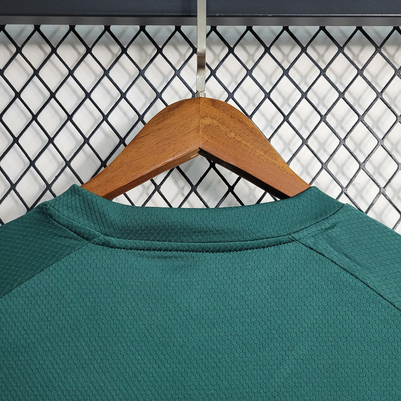 Camisa de Treino Palmeiras | 23/24 Torcedor Puma - Verde