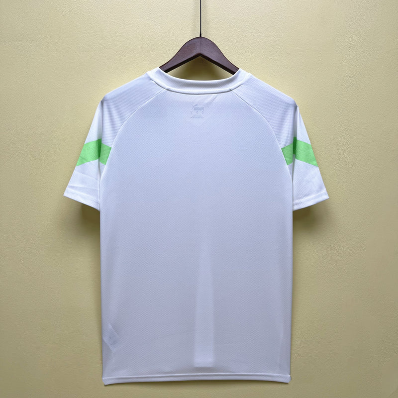 Camisa de Treino Palmeiras | 23/24 Torcedor Puma - Branca