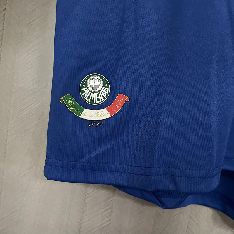 Camisa III Palmeiras Retrô | 2009 Torcedor Adidas - Azul e Branca - Manga Longa