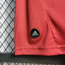 Camisa III Fluminense Retrô | 2012 Adidas - Grená