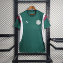 Camisa Pré Jogo Palmeiras | 23/24 Torcedor Puma - Verde