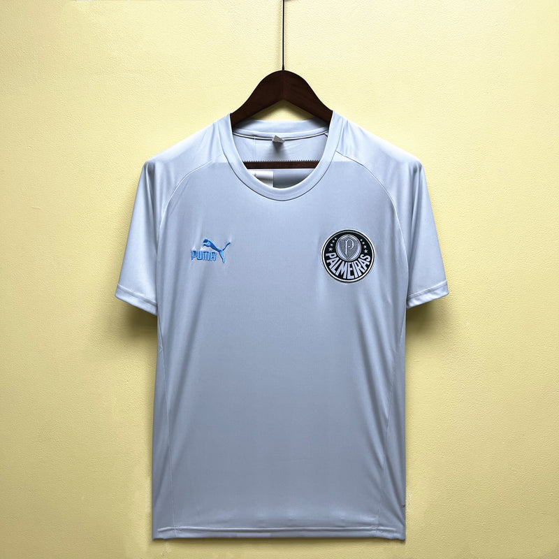 Camisa de Treino Palmeiras | 23/24 Torcedor Puma - Cinza
