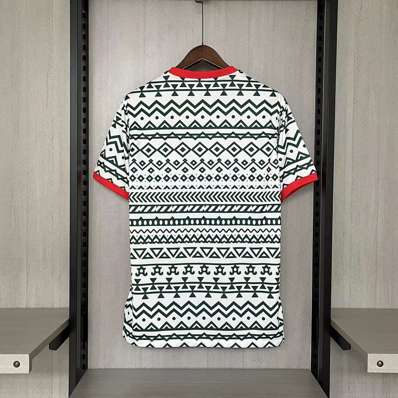 Camisa de Treino Nigéria | 23/24 Torcedor Nike - Branca e Verde