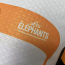 Camisa II Costa do Marfim | 2022 Modelo Jogador Puma - Branca e Laranja