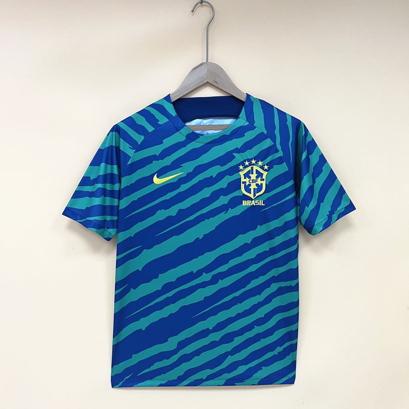 Camisa de Treino Brasil | 22/23 Torcedor Nike - Verde e Azul