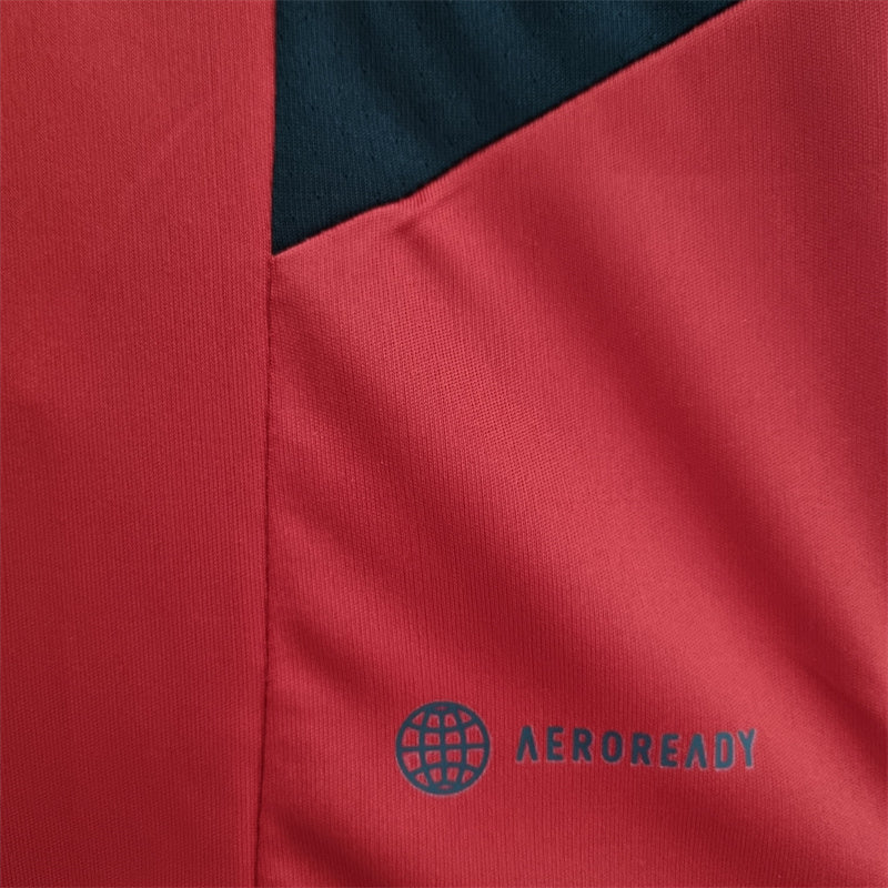 Camisa de Treino Flamengo | 22/23 Torcedor Adidas - Vermelha