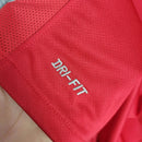 Camisa I Portugal Retrô | 2010 Torcedor Nike - Vermelha e Verde