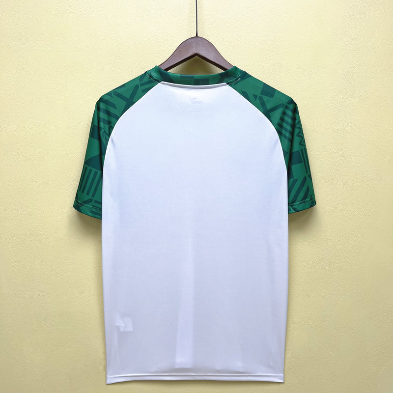 Camisa de Treino Palmeiras | 23/24 Torcedor Puma - Branca e Verde