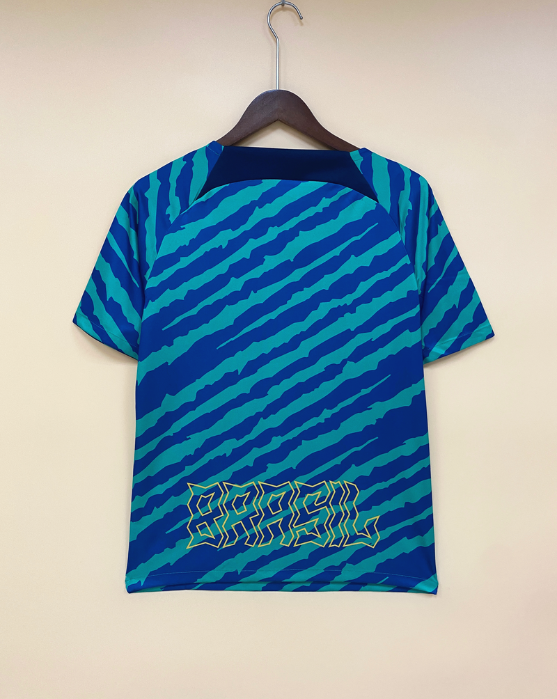 Camisa Edição Especial Brasil | 22/23 Torcedor Nike - Azul e Verde