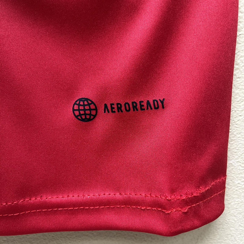 Camisa de Treino Flamengo | 23/24 Torcedor Adidas - Vermelha