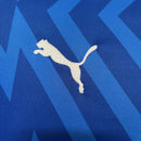 Camisa Goleiro Palmeiras | 24/25 Torcedor Puma - Azul